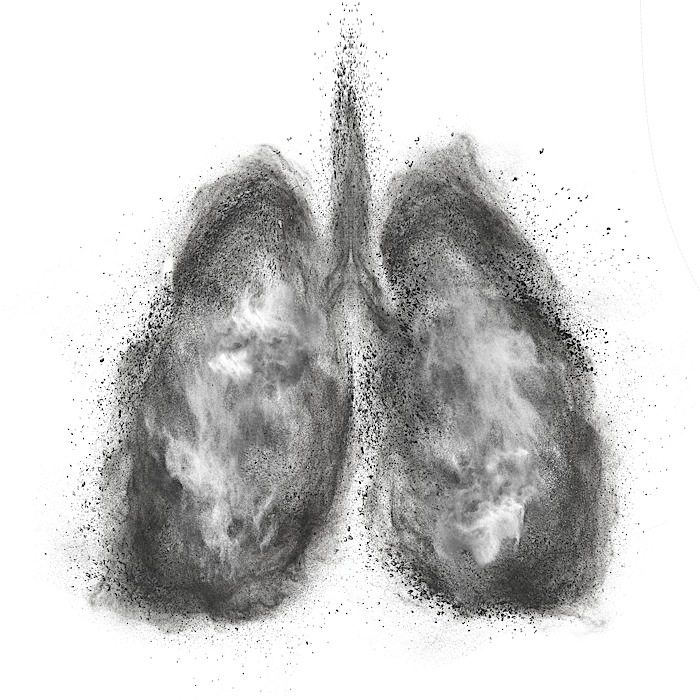 Lungs made of black powder explosion isolated on white