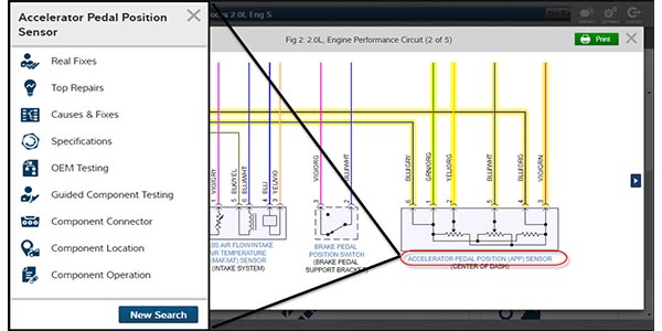 Introduces Interactive Wiring Diagrams